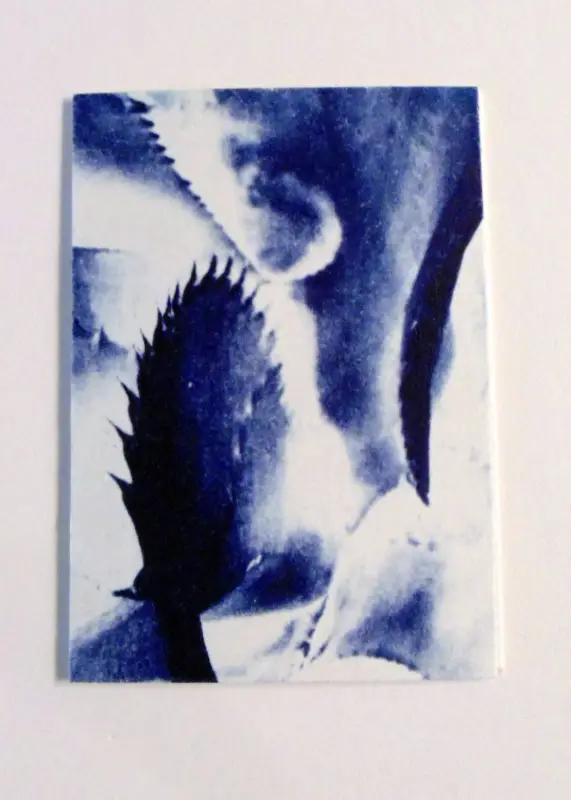 Agave Leaf Original Art Cyanotype ACEO aceo art card