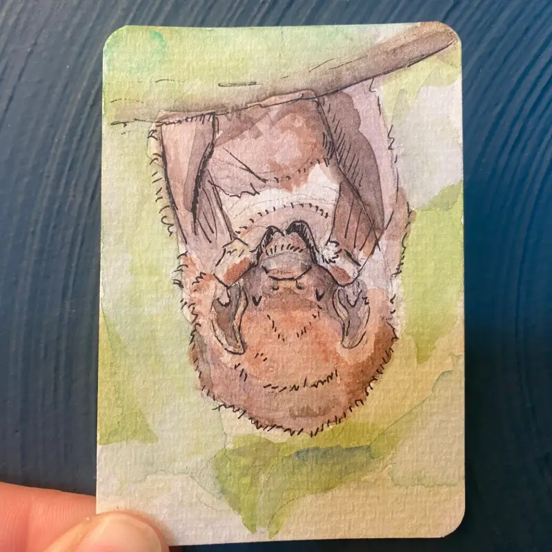 Built-in Butt Blanket No. 3 aceo art card