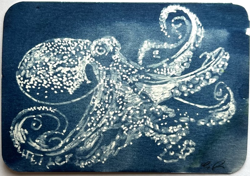 Octopus Cyanotype 3 aceo art card