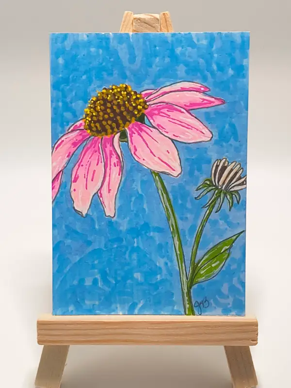 Pink Coneflower blu aceo art card
