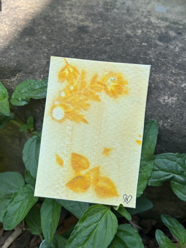 SunPrint 02 aceo art card