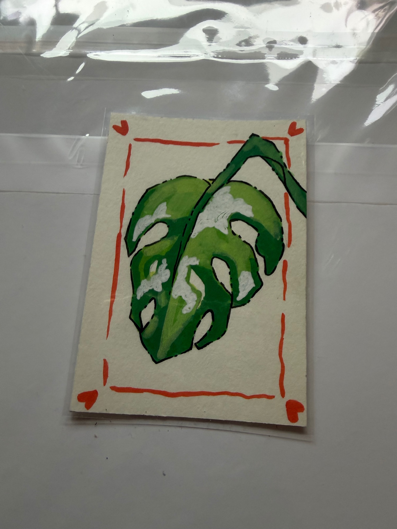 Monstera Albo aceo art card