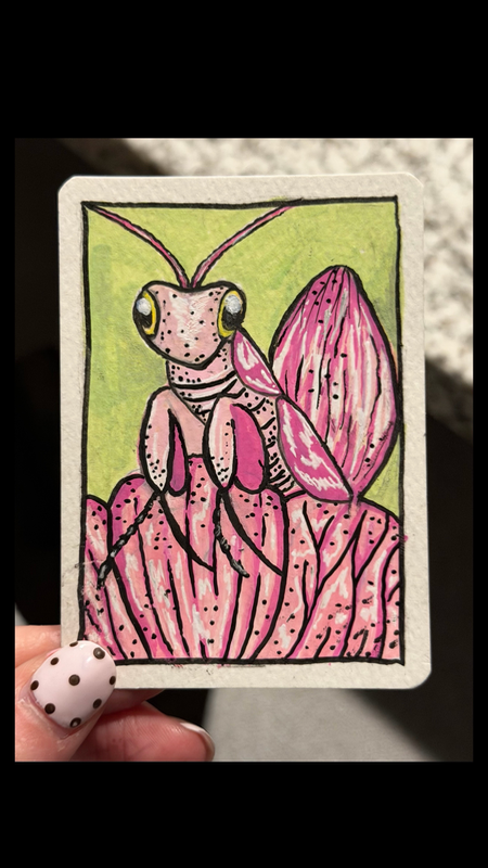 Orchid Mantis aceo art card