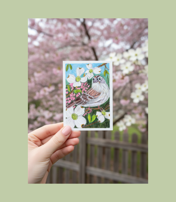 Chipping Sparrow in Dogwood Tree ACEO - Colored Pencil on Illustration Board aceo art card thumbnail 2