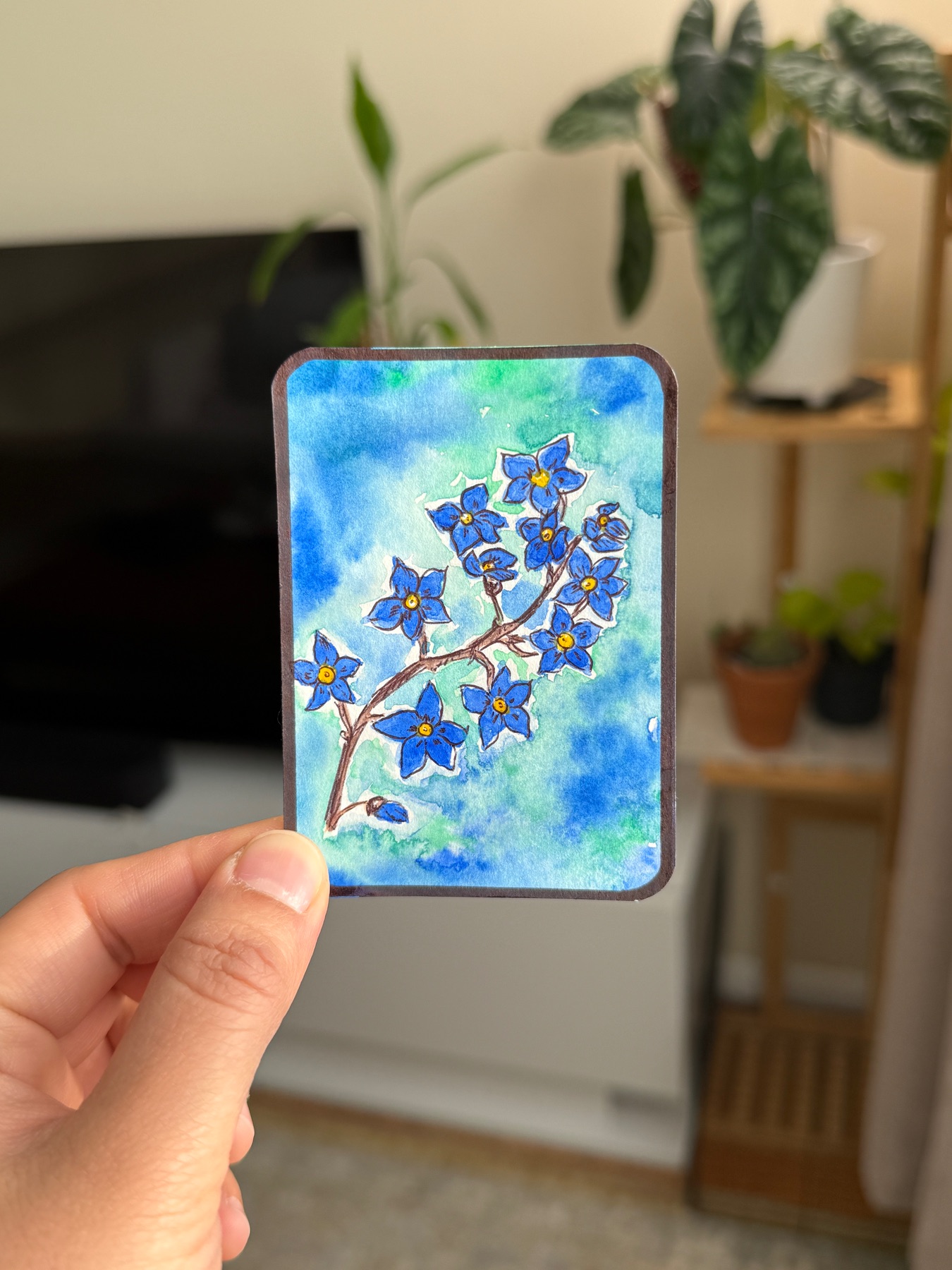 Bluer than Blue aceo art card