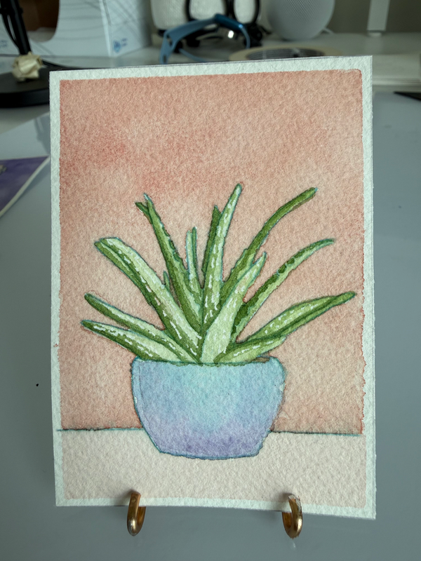 Aloe Vera aceo art card