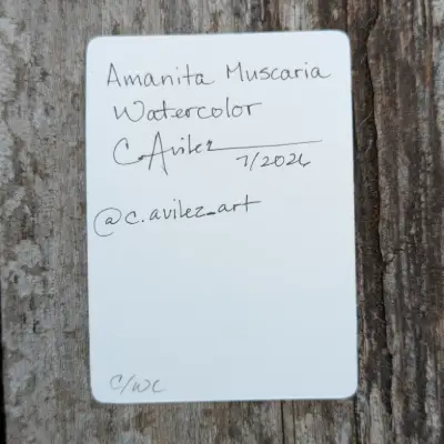 Amanita Muscaria aceo art card thumbnail 3