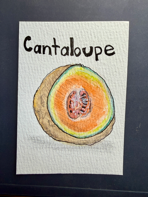 Summer Cantaloupe | Fruit Collection aceo art card