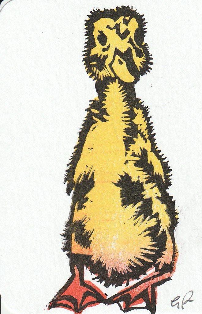 Duckling 1 aceo art card