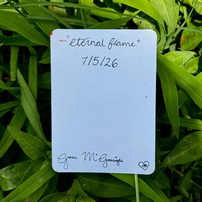 Sacred Heart “Eternal Flame” aceo art card thumbnail 2