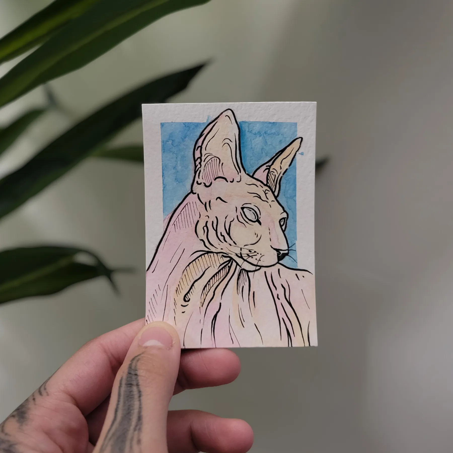 Sphynx aceo art card