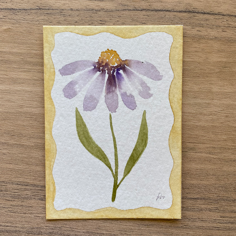 Purple Coneflower aceo art card