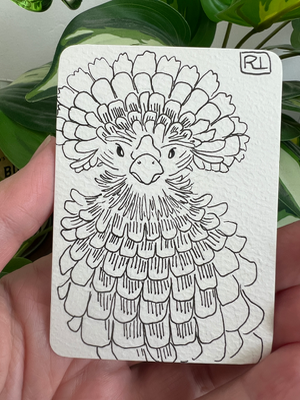 ACEO original in pen, Frizzle Silkie Chicken, cute, 2.5”x3.5” aceo art card thumbnail 1