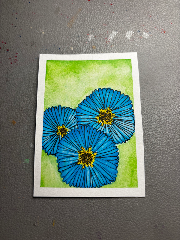 Aster, Blue aceo art card