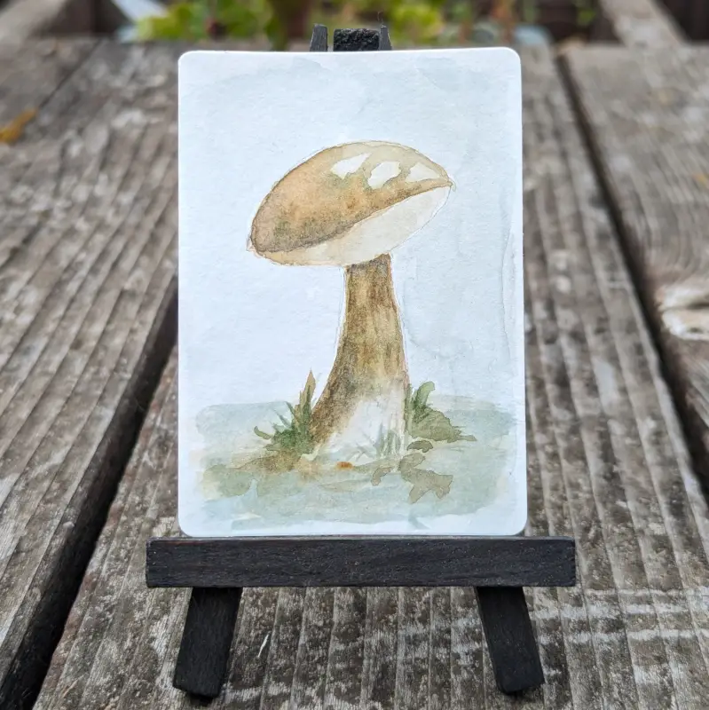 Bolete aceo art card