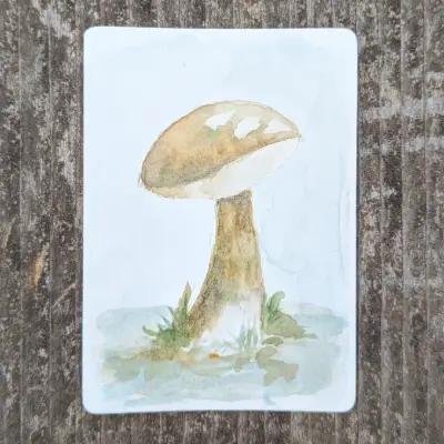 Bolete aceo art card thumbnail 2
