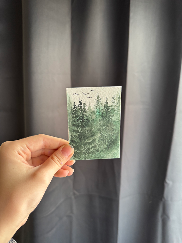 Foggy Pacific Northwest Forest Oregon aceo art card