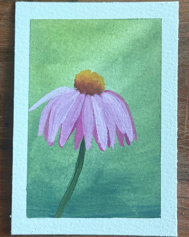 Pink Coneflower aceo art card