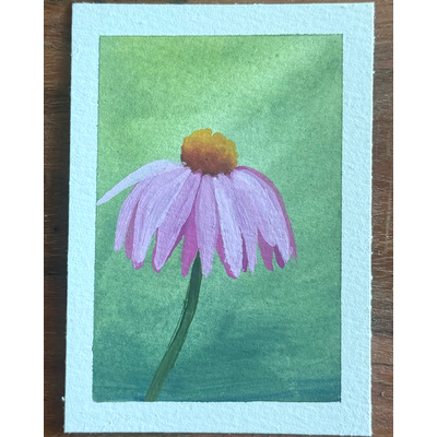Pink Coneflower aceo art card thumbnail 1