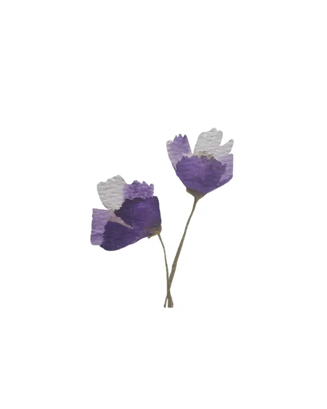 Purple Petals aceo art card