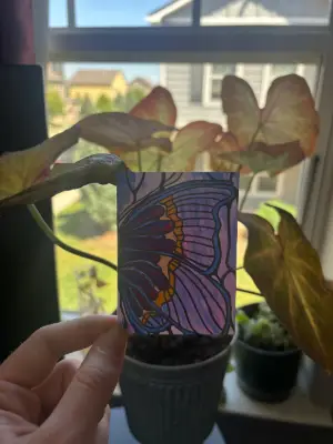Butterfly Wing Stain-glass style Yellow & Purple SIGNED PRINT aceo art card thumbnail 2