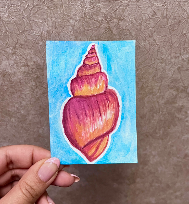 Conch Shell aceo art card