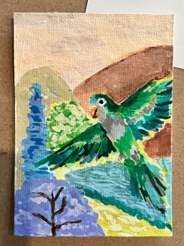 Lucky Monk Parakeet aceo art card