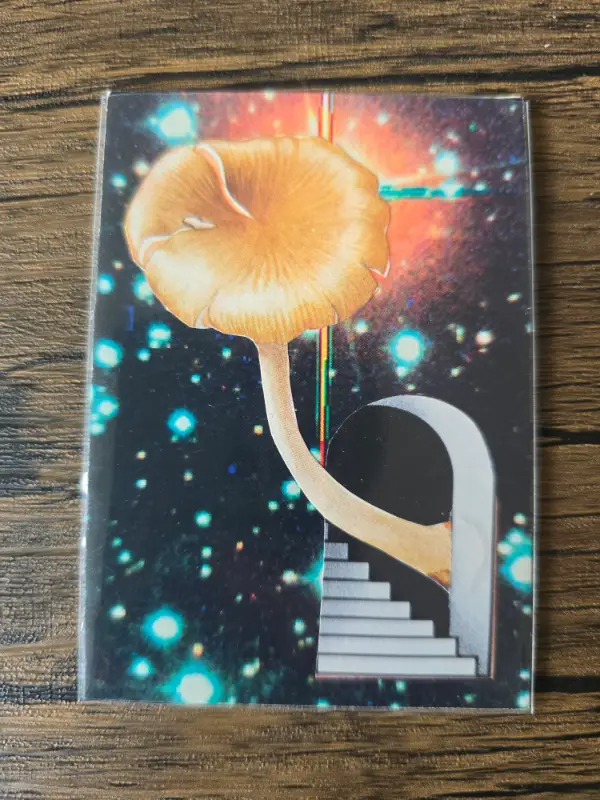 Doorway to outter space aceo art card