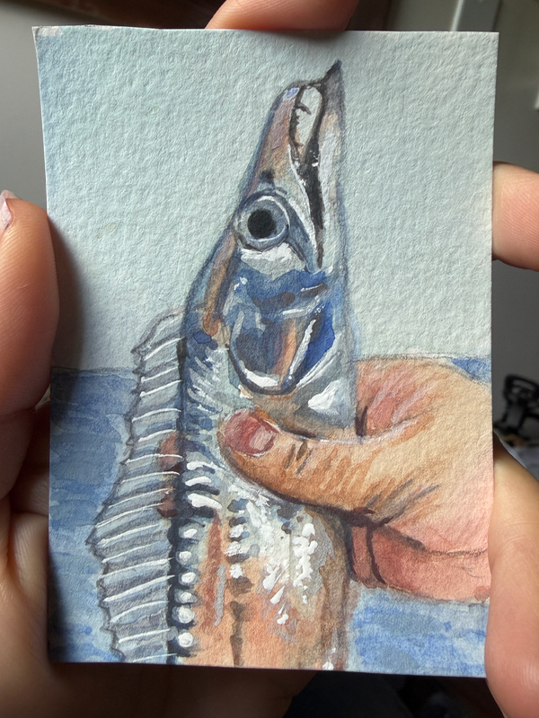 Original Watercolor- Shiny Catch aceo art card