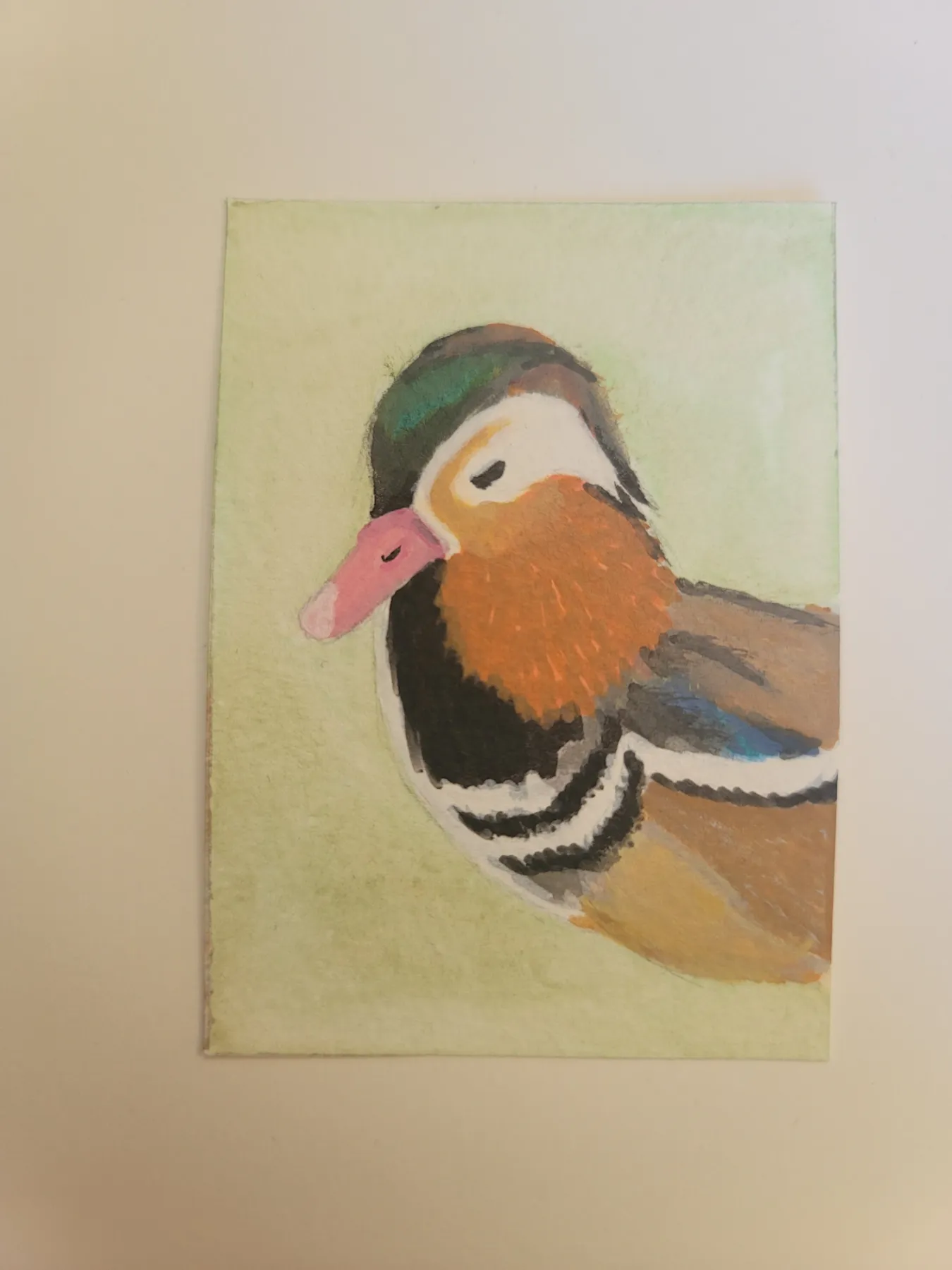 Mandarin Duck #1 aceo art card