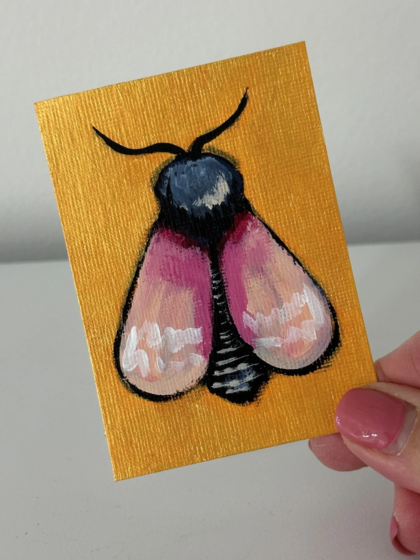 Pretty Pink Moth aceo art card