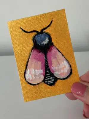 Pretty Pink Moth aceo art card thumbnail 1