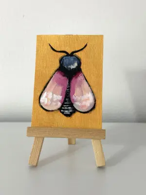 Pretty Pink Moth aceo art card thumbnail 2