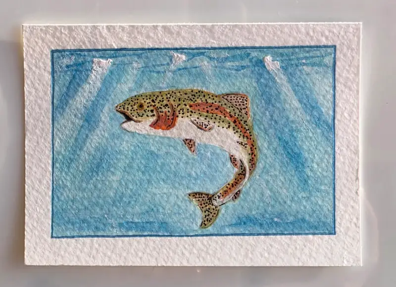 Rainbow Trout aceo art card