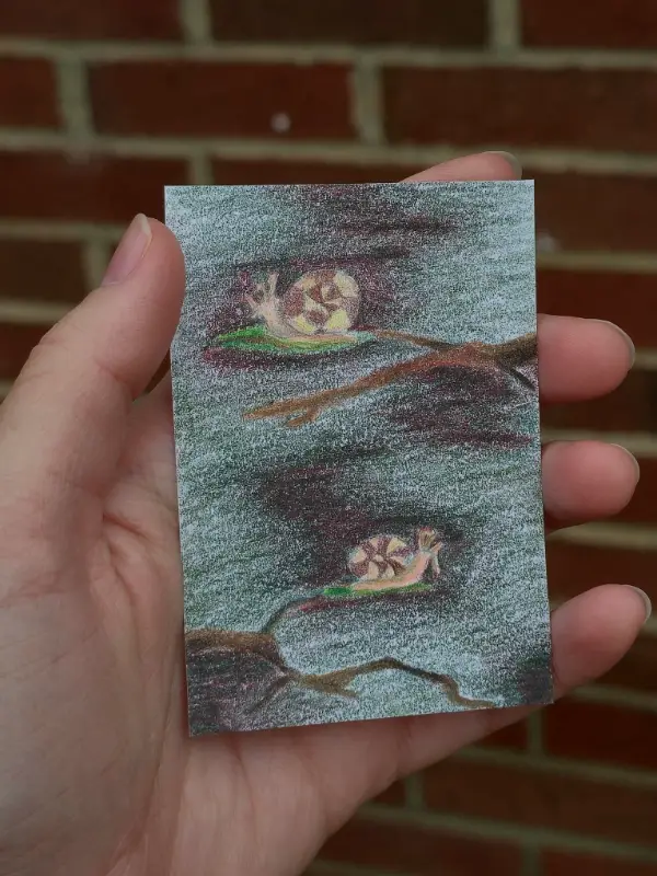 Snails in tree aceo art card
