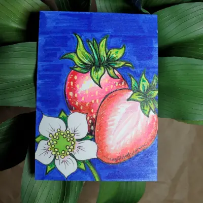 Strawberry Half and Blossom aceo art card thumbnail 1