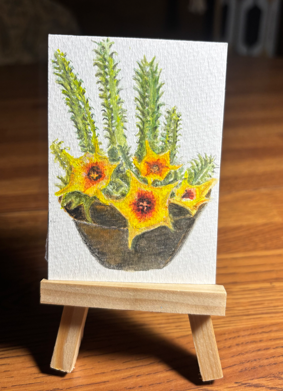 Starfish flowers aceo art card