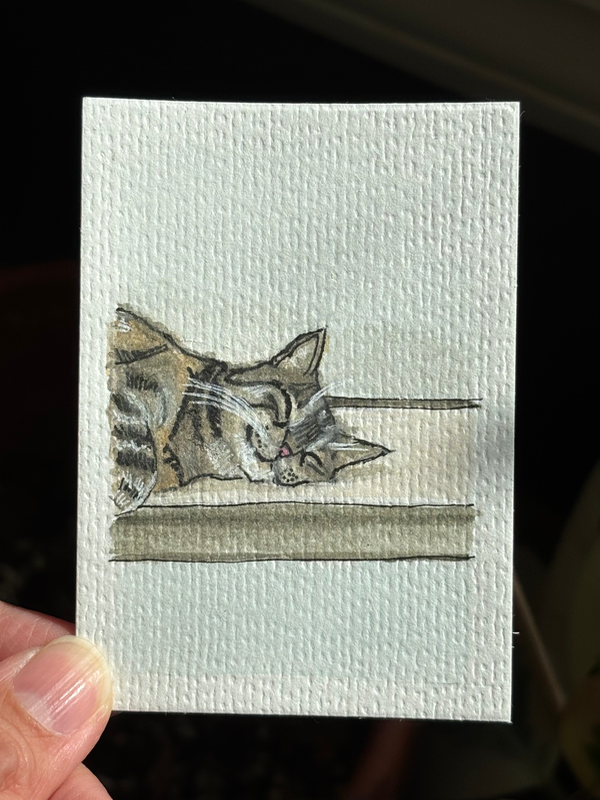 ACEO original, sweet dreams for Mochi aceo art card