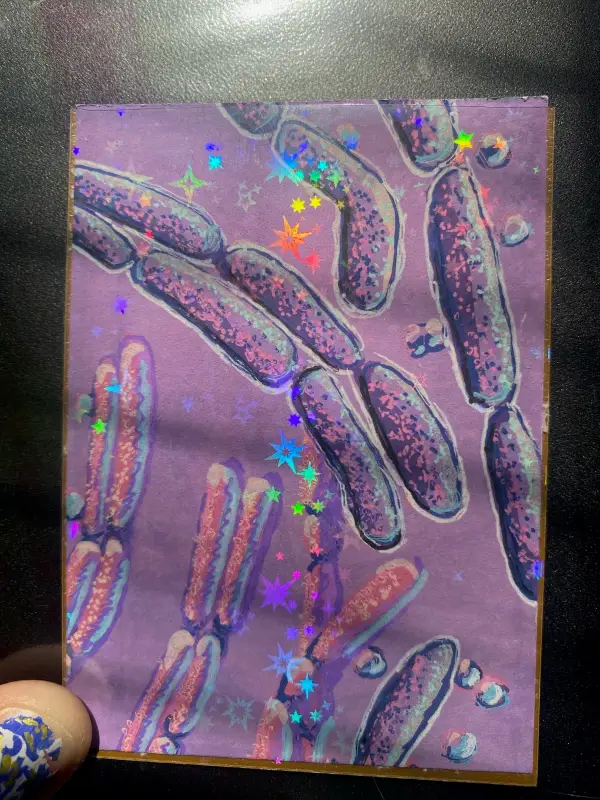 Bacillus anthracis aceo art card