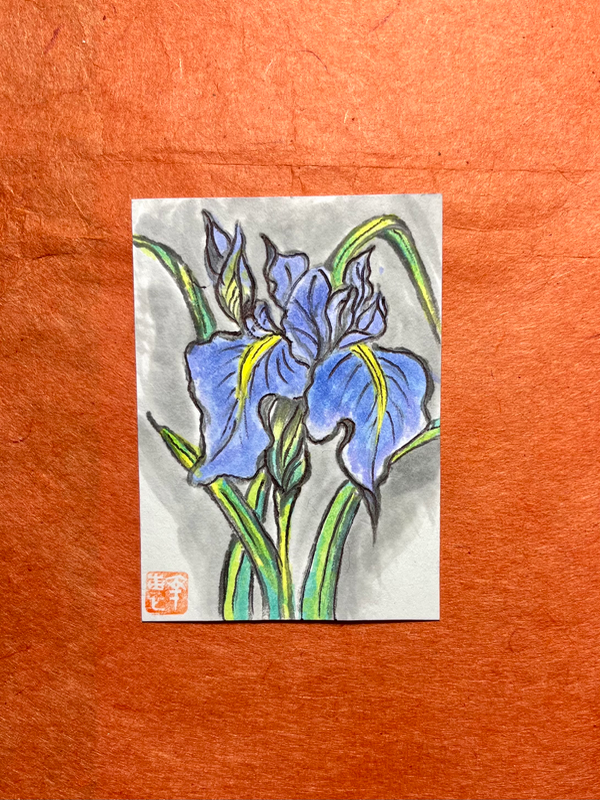 Blue purple Iris- watercolor aceo art card