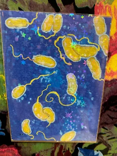 Vibrio cholerae aceo art card