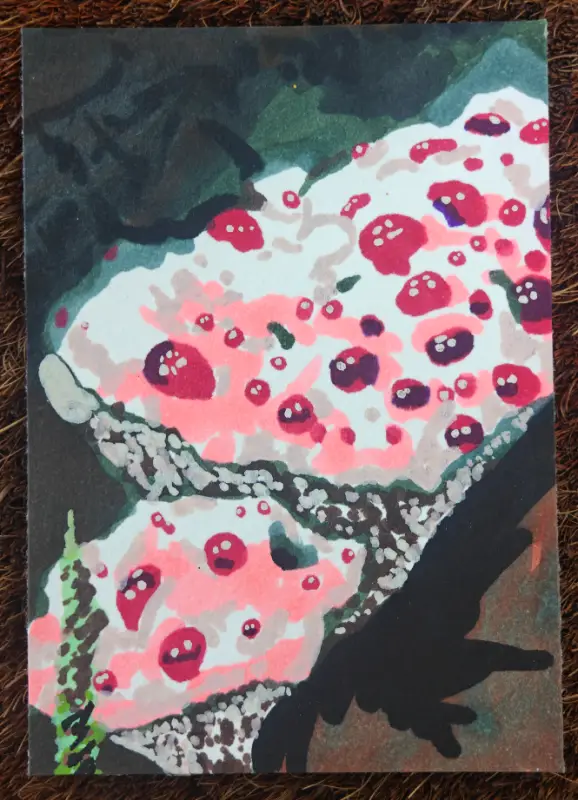 Mushrooms #3 - Bleeding Tooth aceo art card