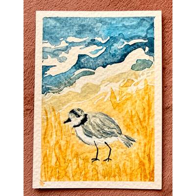 Plover on the Beach aceo art card thumbnail 1