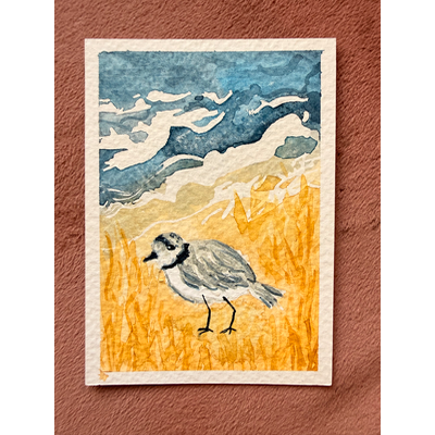 Plover on the Beach aceo art card thumbnail 2