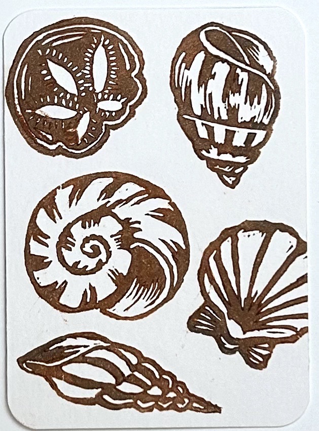 Sea Shells 5 aceo art card