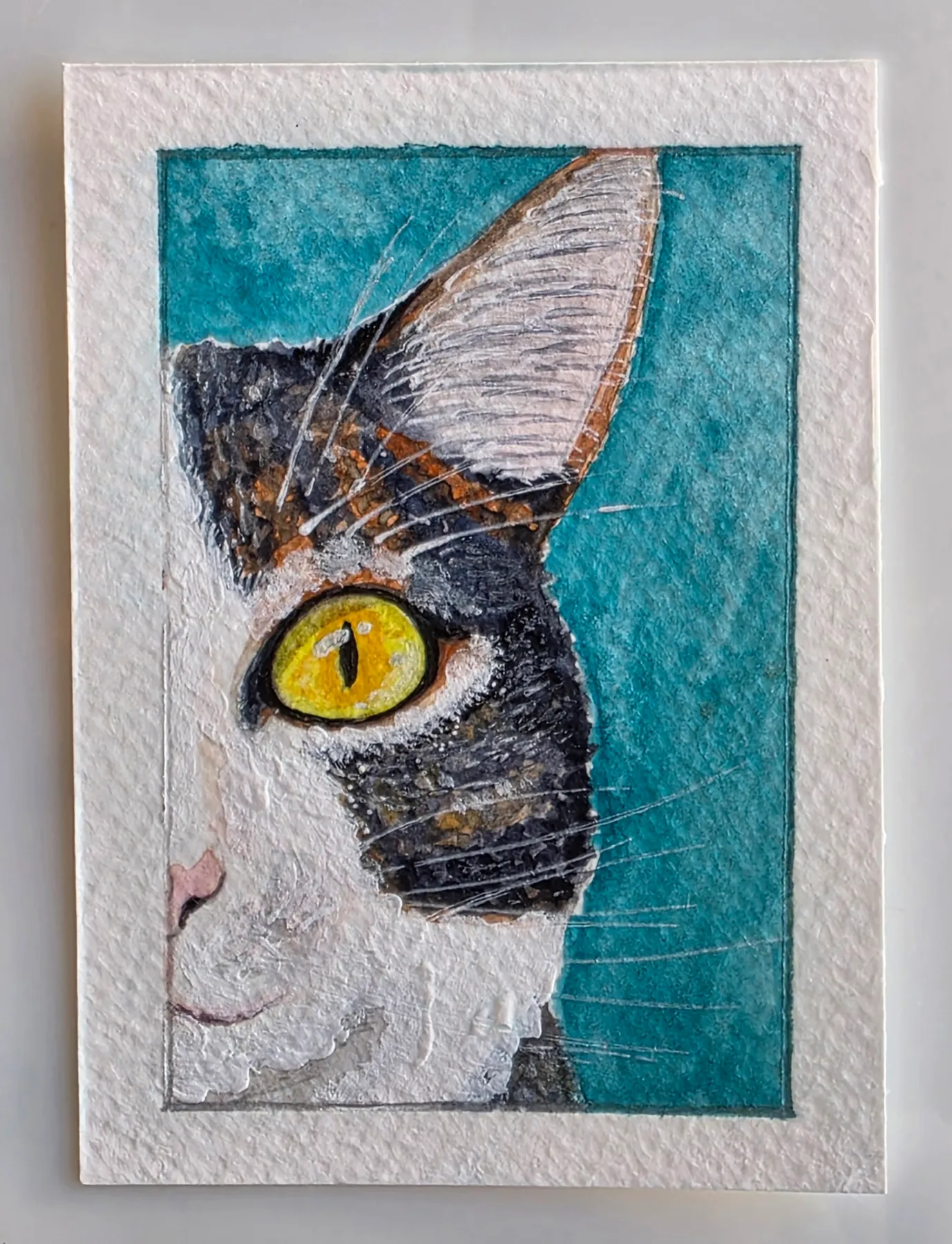 Yellow Eyed Cat aceo art card