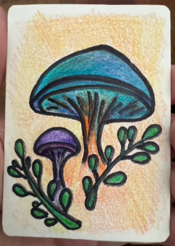 ACEOs Original Art Drawing , Mushroom Series 1 No. 2 of 6 , Color pencil aceo art card