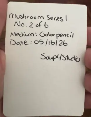 ACEOs Original Art Drawing , Mushroom Series 1 No. 2 of 6 , Color pencil aceo art card thumbnail 2