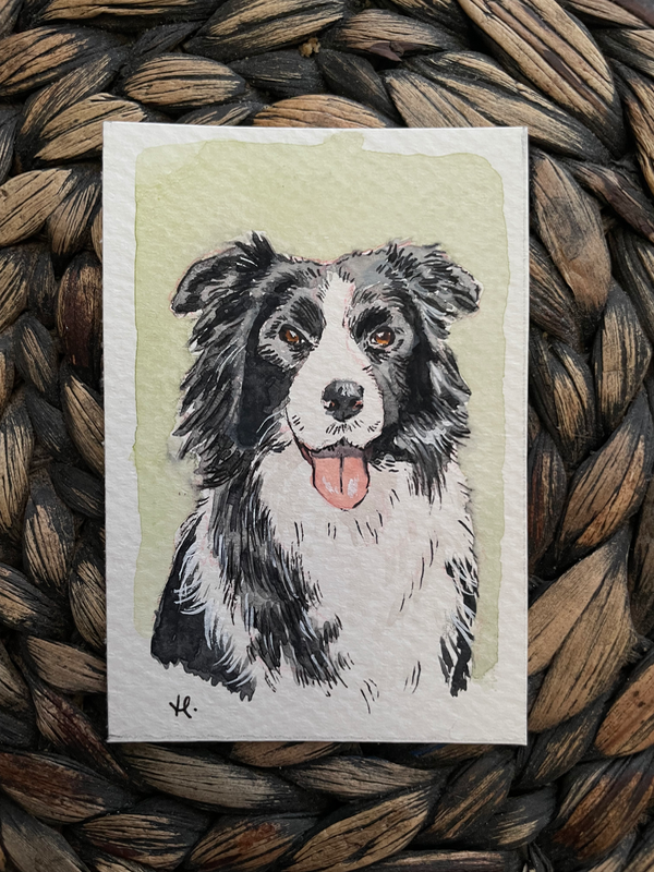 Border Collie in Watercolor aceo art card