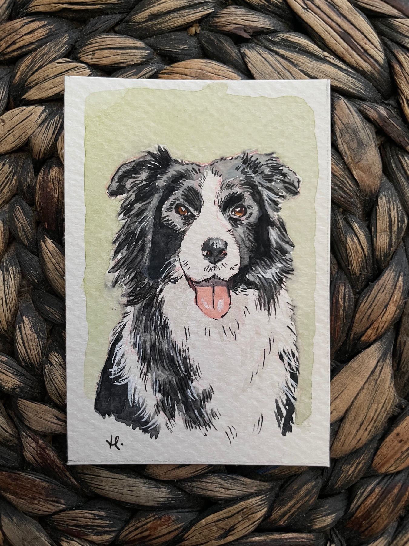 Border Collie in Watercolor aceo art card